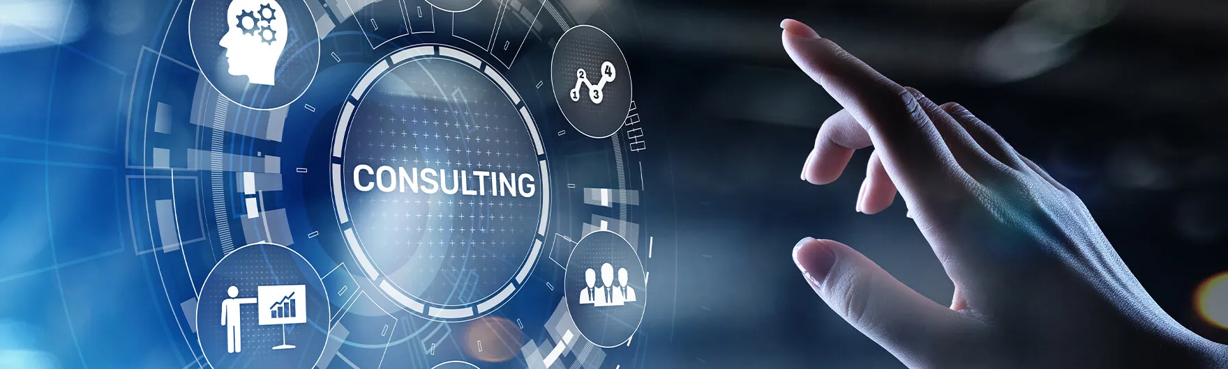 IT Consulting
